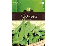 Saatgut Zuckererbsen, Ambrosia, für ca. 8 lfd. m.