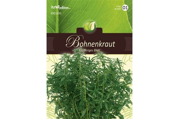  Saatgut Bohnenkraut, Einjähriges Blatt,