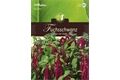  Saatgut Amaranthus, Fuchsschwanz, Rotblättrig,