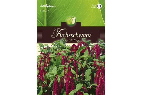  Saatgut Amaranthus, Fuchsschwanz, Rotblättrig,