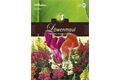  Saatgut Antirrhinum, Löwenmaul, Halbhohe