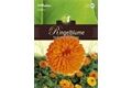  Saatgut Calendula, Ringelblume, Pacific Schönheit