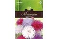 Saatgut Callistephus, Meisteraster, Prachtmischung