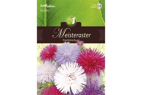  Saatgut Callistephus, Meisteraster, Prachtmischung