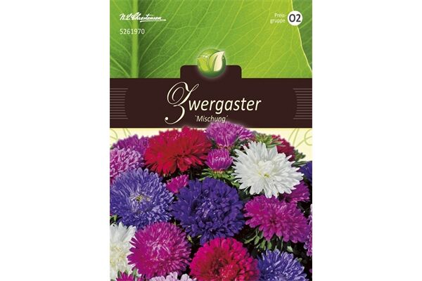  Saatgut Callistephus, Zwergaster, Mischung,