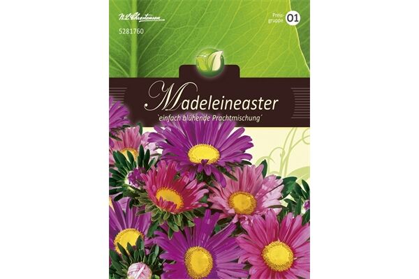  Saatgut Callistephus Madeleinaster, Prachtmischung