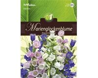 Saatgut Campanula Medium, Marienglockenblumen, Prachtmischung, für ca. 200 Pflanzen