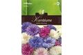  Saatgut Centaurea, Kornblumen,gefüllte Mischung,