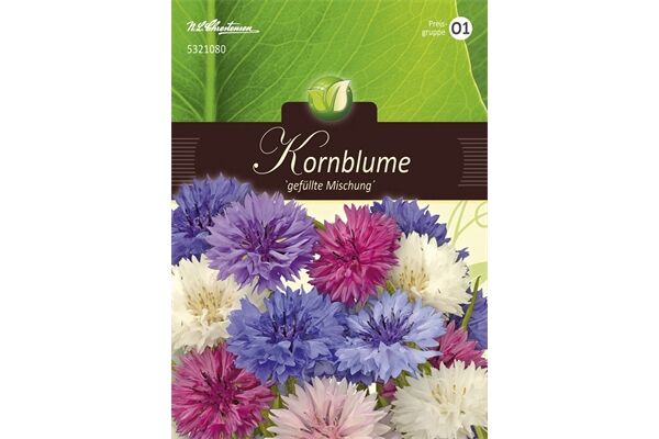 Saatgut Centaurea, Kornblumen,gefüllte Mischung,