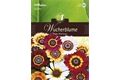  Saatgut Chrysanthemum, Wucherblumen, Frohe