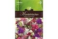  Saatgut Clarkia Mandelröschen, Mischung,