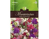 Saatgut Clarkia Mandelröschen, Mischung, für ca. 90 Pflanzen