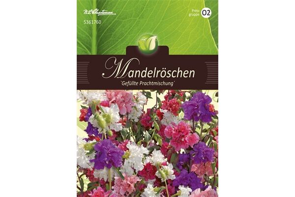  Saatgut Clarkia Mandelröschen, Mischung,
