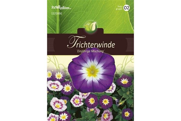  Saatgut Convolvulus Tricolor, Trichterwinde,