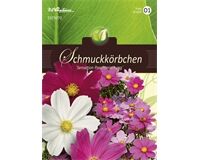 Saatgut Cosmos, Schmuckkörbchen, Sensation Prachtmischung, für ca. 80 Pflanzen