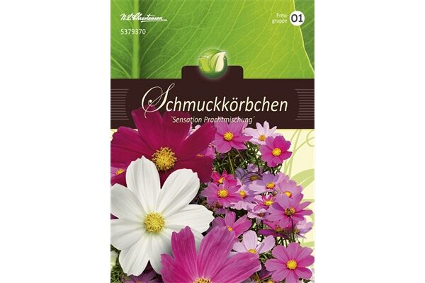  Saatgut Cosmos, Schmuckkörbchen,