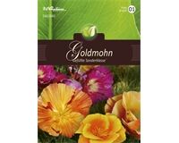 Saatgut Eschscholtzia Californica, Goldmohn, Gefüllte Sonderklasse, für ca. 75 Pflanzen