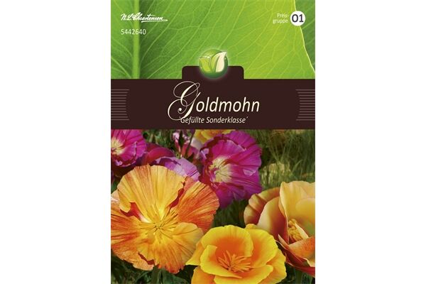  Saatgut Eschscholtzia Californica, Goldmohn,