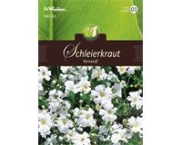 Saatgut Gypsophila Schleierkraut, weiß für ca. 160 Pflanzen