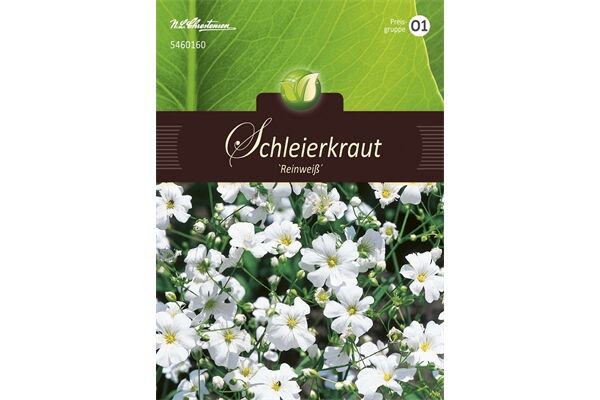  Saatgut Gypsophila Schleierkraut, weiß
