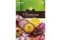  Saatgut Helichrysum Strohblumen, Riesenblumige