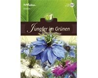 Saatgut Nigella, Jungfer im Grünen, Prachtmischung für ca. 140 Pflanzen
