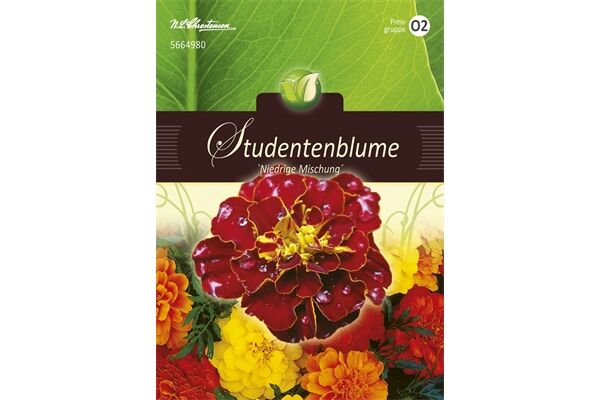  Saatgut Tagetes Studentenblume, Niedrige Mischung,
