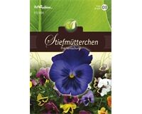 Saatgut Viola Hiemalis, Stiefmütterchen, Prachtmischung, für ca. 75 Pflanzen
