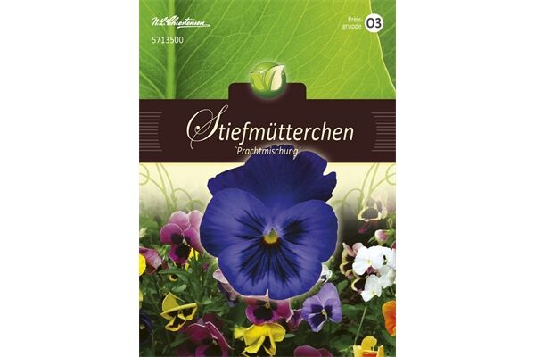  Saatgut Viola Hiemalis, Stiefmütterchen,