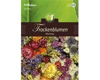 Saatgut Trockenblumen Mischung, für ca. 80 Pflanzen