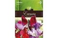  Saatgut Lathyrus Edelwicke, Royal Mischung,