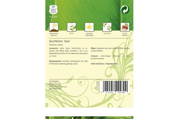  Saatgut Buschbohnen 'Saxa' für 7 lfd. m.