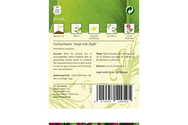  Saatgut Amaranthus, Fuchsschwanz, Rotblättrig,