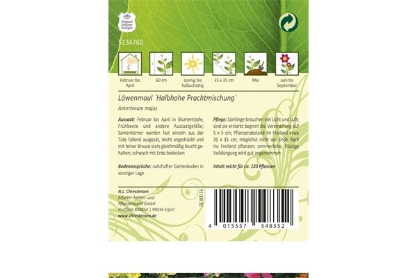  Saatgut Antirrhinum, Löwenmaul, Halbhohe