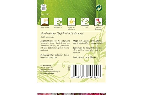  Saatgut Clarkia Mandelröschen, Mischung,