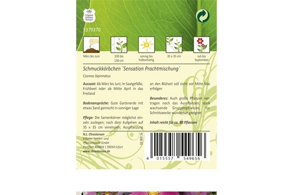 Saatgut Cosmos, Schmuckkörbchen,