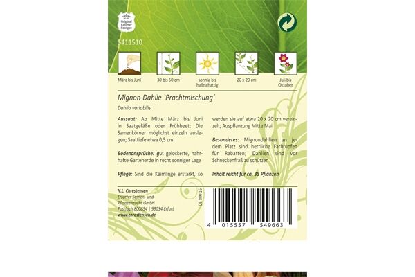  Saatgut Dahlia Mignon, Prachtmischung,