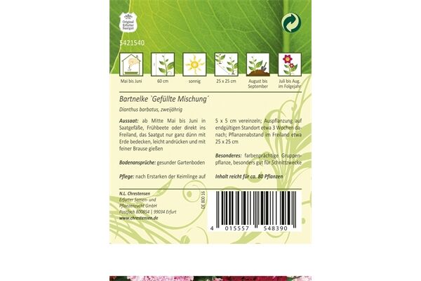  Saatgut Dianthus Bartnelken, Gefüllte Mischung,