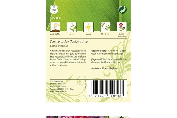  Saatgut Godetia Azaleenschau Sommerazalee,