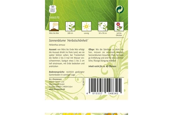  Saatgut Helianthus Sonnenblume, Mischung,