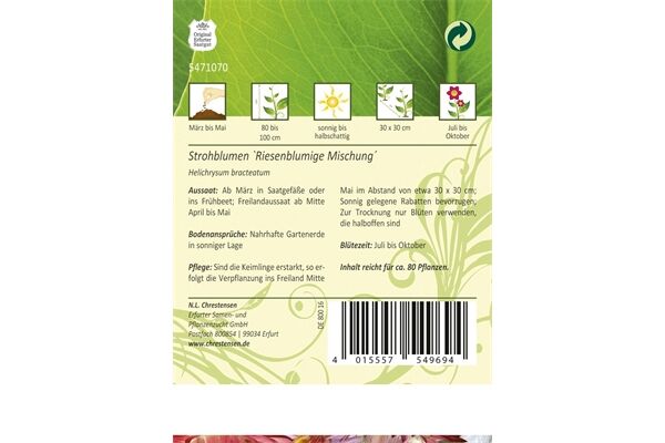  Saatgut Helichrysum Strohblumen, Riesenblumige
