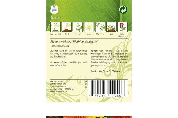  Saatgut Tagetes Studentenblume, Niedrige Mischung,
