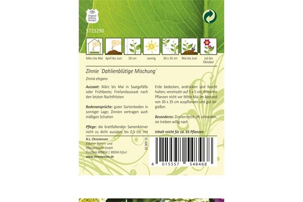  Saatgut Zinnia Zinnie, Dahlienblütige Mischung,