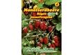  Saatgut Monatserdbeere, Rügen