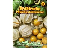 Saatgut Andenbeere Erdkirsche für 50 Pflanzen
