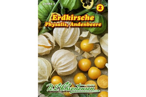  Saatgut Andenbeere Erdkirsche