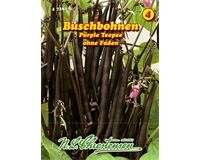 Saatgut Buschbohnen Purple Teepee, ohne Fäden, ertragreich, für 9 lfd. m.
