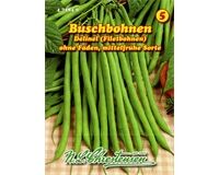 Saatgut Filetbohnen, Delinel, mittelfrühe Sorte,  für 9 lfd. m.