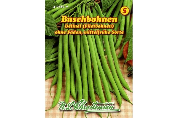  Saatgut Filetbohnen, Delinel, mittelfrühe Sorte,