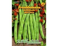 Saatgut Prunkbohnen, Rotblühende, späte Sorte, für 5 – 6 Stangen